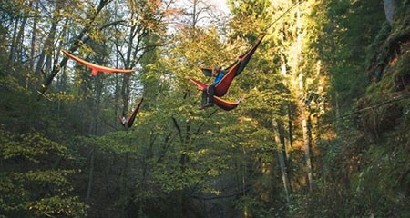 اخبار,اخبار گوناگون,یک استراحت بی‌نظیر در وسط جنگل بین زمین و آسمان