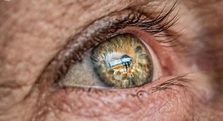 Fun & Info @ Keralites.net