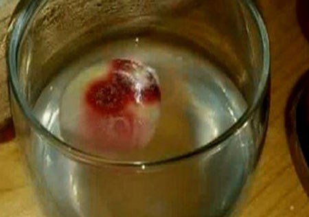 اخبار,اخبار گوناگون,نان خونین