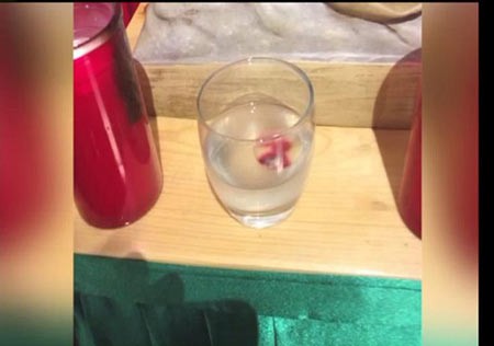 اخبار,اخبار گوناگون,نان خونین