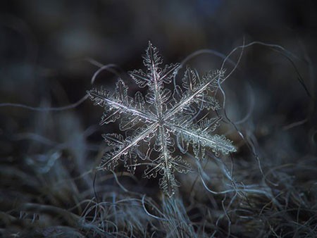 اخبار,اخبار گوناگون,کریستال‌های برف