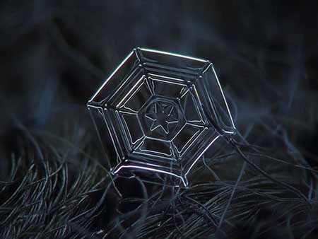 اخبار,اخبار گوناگون,کریستال‌های برف