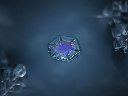 اخبار,اخبار گوناگون,کریستال‌های برف