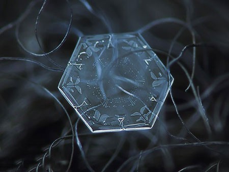 اخبار,اخبار گوناگون,کریستال‌های برف