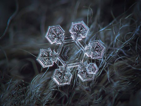 اخبار,اخبار گوناگون,کریستال‌های برف