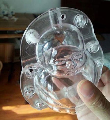 اخبار,اخبار گوناگون,گلابی‌