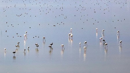 اخبار گوناگون,خبر های گوناگون,تالاب حسنلو و تالاب کانی