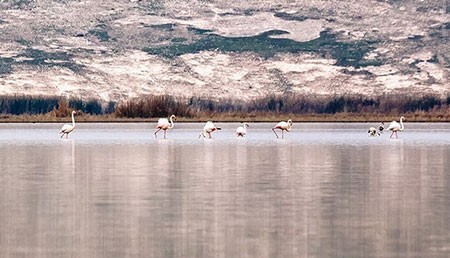 اخبار گوناگون,خبر های گوناگون,تالاب حسنلو و تالاب کانی