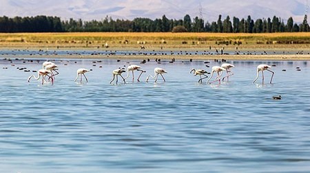 اخبار گوناگون,خبر های گوناگون,تالاب حسنلو و تالاب کانی