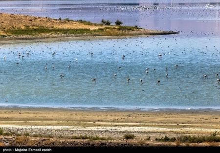 اخبار گوناگون,خبر های گوناگون,تالاب حسنلو و تالاب کانی