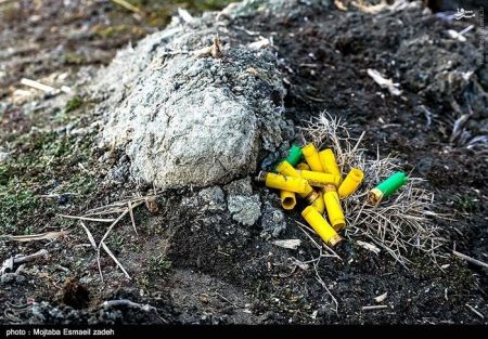 اخبار گوناگون,خبر های گوناگون,تالاب حسنلو و تالاب کانی