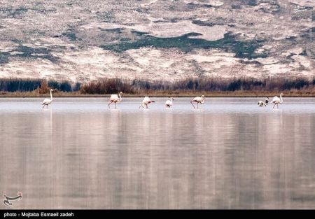 اخبار گوناگون,خبر های گوناگون,تالاب حسنلو و تالاب کانی