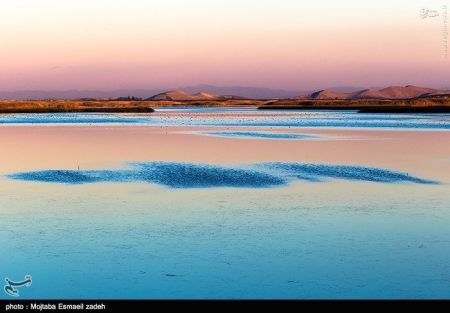اخبار گوناگون,خبر های گوناگون,تالاب حسنلو و تالاب کانی