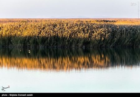 اخبار گوناگون,خبر های گوناگون,تالاب حسنلو و تالاب کانی