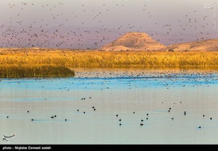 اخبار گوناگون,خبر های گوناگون,تالاب حسنلو و تالاب کانی