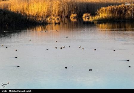 اخبار گوناگون,خبر های گوناگون,تالاب حسنلو و تالاب کانی