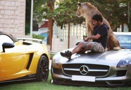 اخبار گوناگون,خبر های گوناگون,حیوانات خانگی