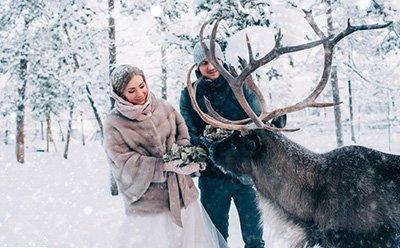 اخبار,اخبار گوناگون,عروس