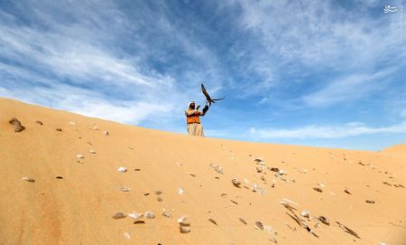 اخبار گوناگون,خبر های گوناگون,بیابان‌های امارات