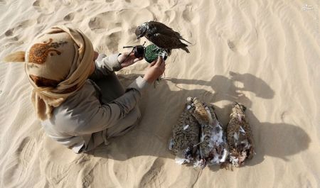 اخبار گوناگون,خبر های گوناگون,بیابان‌های امارات