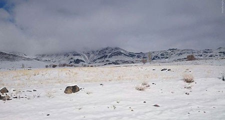 اخبار گوناگون,خبر های گوناگون,زمستان