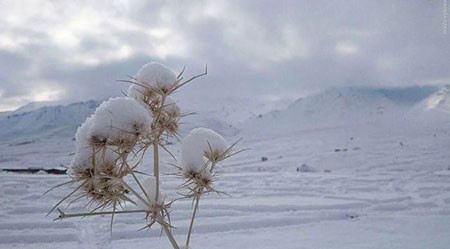 اخبار گوناگون,خبر های گوناگون,زمستان