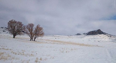 اخبار گوناگون,خبر های گوناگون,زمستان