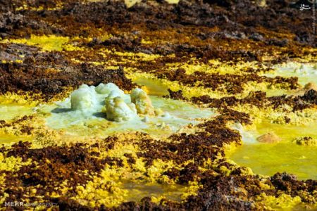 اخبار گوناگون,خبر های گوناگون,منطقه آتشفشانی