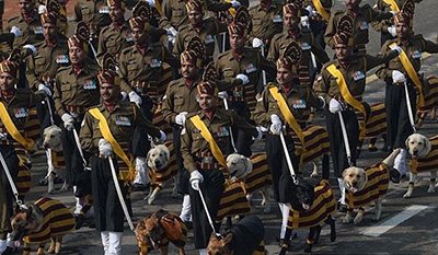 اخبار,اخبار گوناگون,رژه