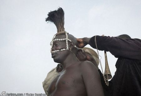 اخبار گوناگون,خبر های گوناگون,چاقی