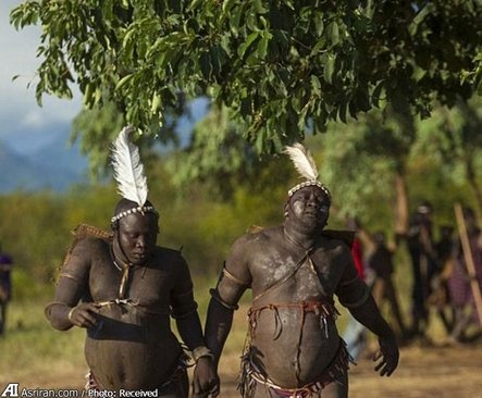 اخبار گوناگون,خبر های گوناگون,چاقی