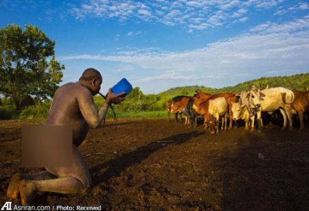 اخبار گوناگون,خبر های گوناگون,چاقی