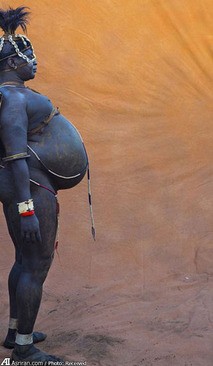 اخبار گوناگون,خبر های گوناگون,چاقی