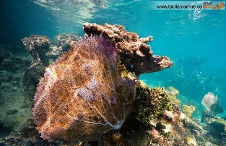 اخبار گوناگون,خبر های گوناگون,مناطق زیبا