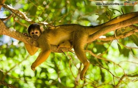 اخبار گوناگون,خبر های گوناگون,مناطق زیبا