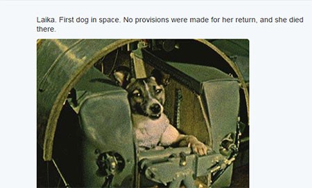 اخبار گوناگون,خبر های گوناگون,تصاویر