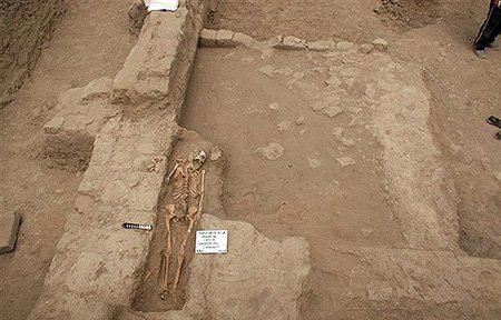 اخبار,اخبار گوناگون,زنان قربانی