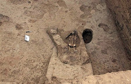 اخبار,اخبار گوناگون,زنان قربانی