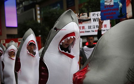 اخبار,اخبار گوناگون,برترین تصاویر جهان