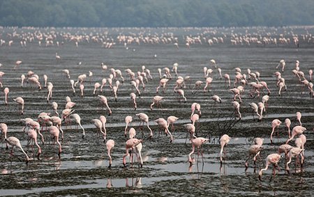 اخبار,اخبار گوناگون,برترین تصاویر جهان