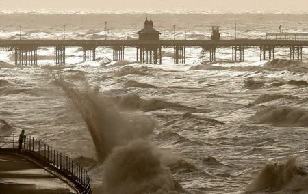 اخبار,اخبار گوناگون,برترین تصاویر جهان