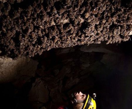 اخبار,اخبار گوناگون,10 غار بی نظیر ایران