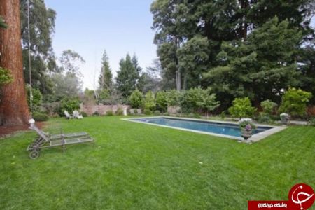 اخبار,اخبار اقتصادی,اخبار مارک 