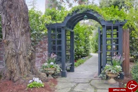 اخبار,اخبار اقتصادی,اخبار مارک 