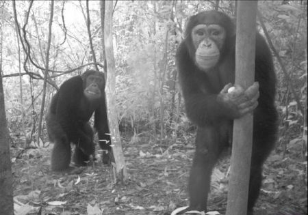 اخبار,اخبار امروز,اخبار جدید