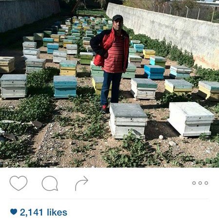 اخبار,اخبار فرهنگی, عکسهای بازیگران ایرانی اخبار,اخبار فرهنگی, عکسهای بازیگران ایرانی