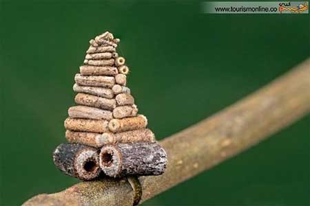 اخبار,اخبار گوناگون ,کوچک ترین  معماری های دنیا