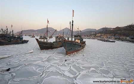 اخبار,اخبار گوناگون  , تصاویر  جالب 