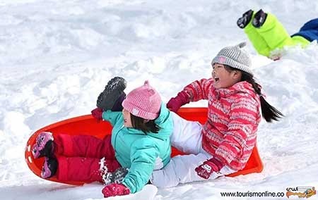 اخبار,اخبار گوناگون  , تصاویر  جالب 