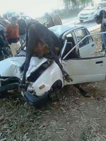 اخبار,اخبارحوادث,حوادث  روز 